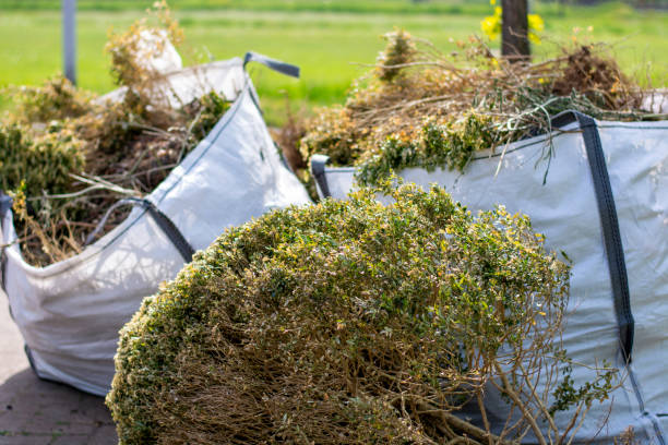 Best Scrap Metal Removal  in Tangent, OR